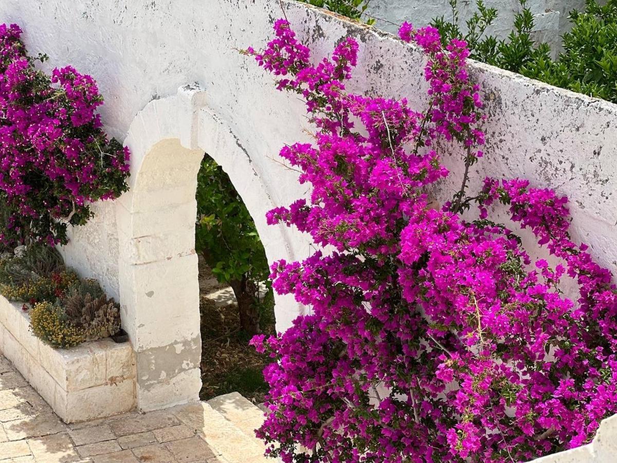 Masseria Piccole Taverne Роза-Марина Экстерьер фото