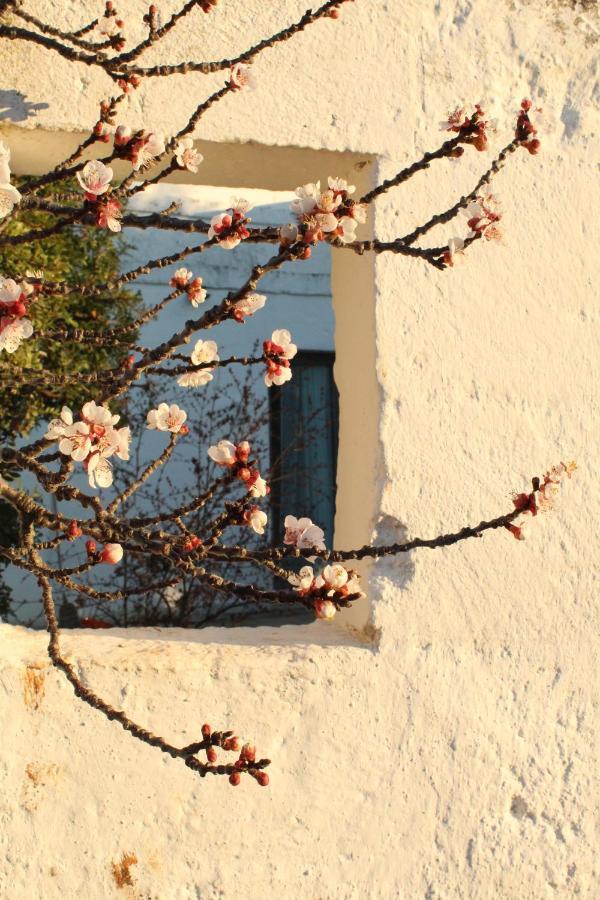 Masseria Piccole Taverne Роза-Марина Экстерьер фото